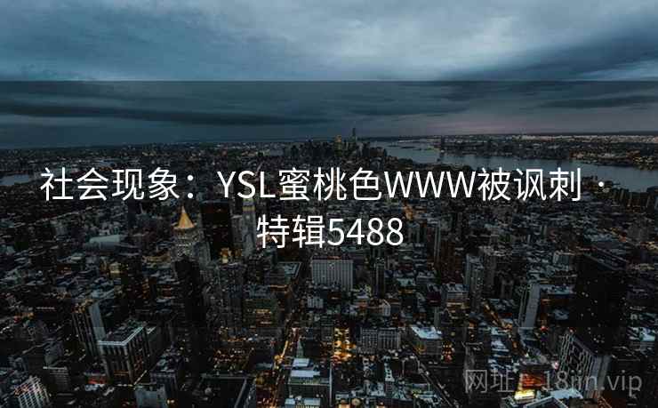 社会现象：YSL蜜桃色WWW被讽刺 · 特辑5488  第2张