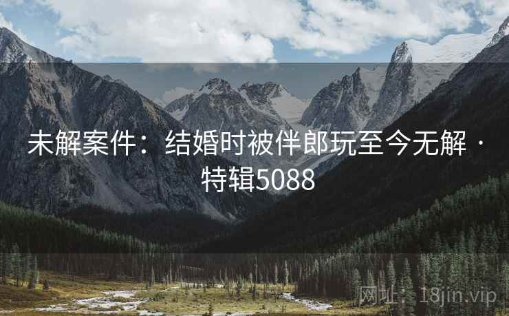 未解案件：结婚时被伴郎玩至今无解 · 特辑5088  第1张