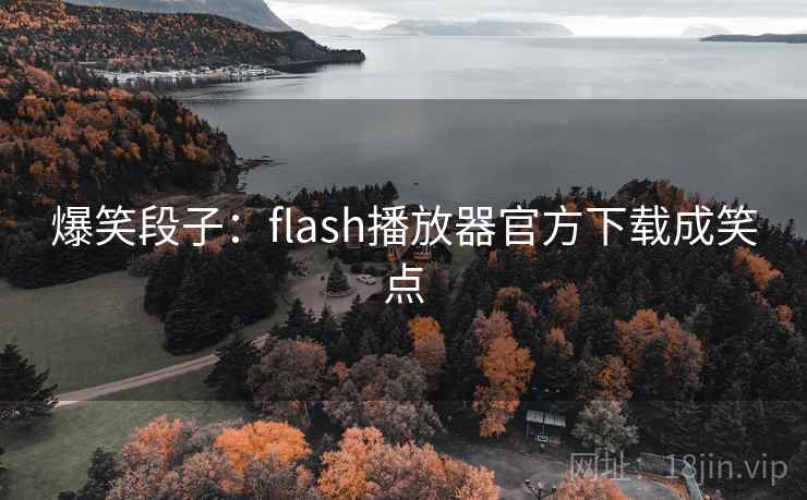 爆笑段子：flash播放器官方下载成笑点