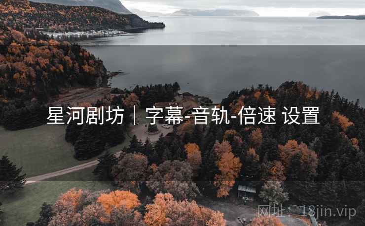 星河剧坊｜字幕-音轨-倍速 设置