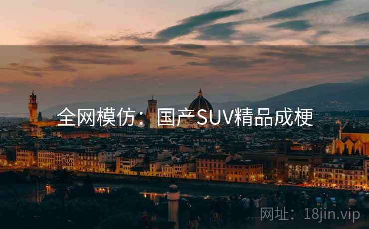 全网模仿:国产SUV精品成梗 第1张 全网模仿:国产SUV精品成梗 第1张