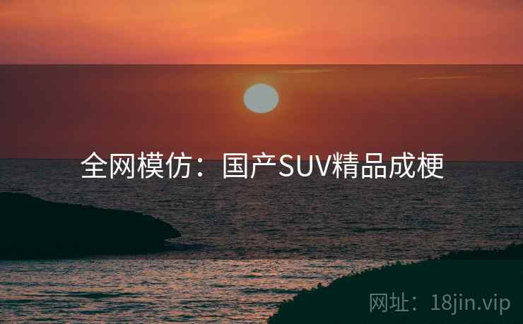 全网模仿:国产SUV精品成梗 第2张 全网模仿:国产SUV精品成梗 第2张