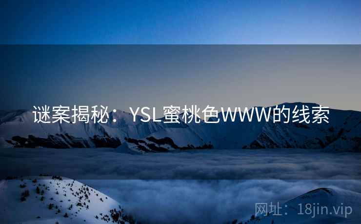 谜案揭秘：YSL蜜桃色WWW的线索  第2张