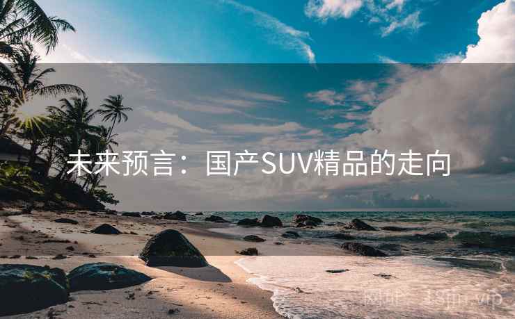 未来预言：国产SUV精品的走向  第2张